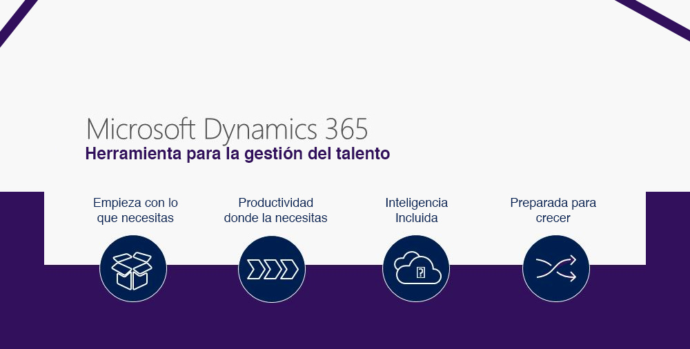 Dynamics 365: Herramienta para la gestión del talento